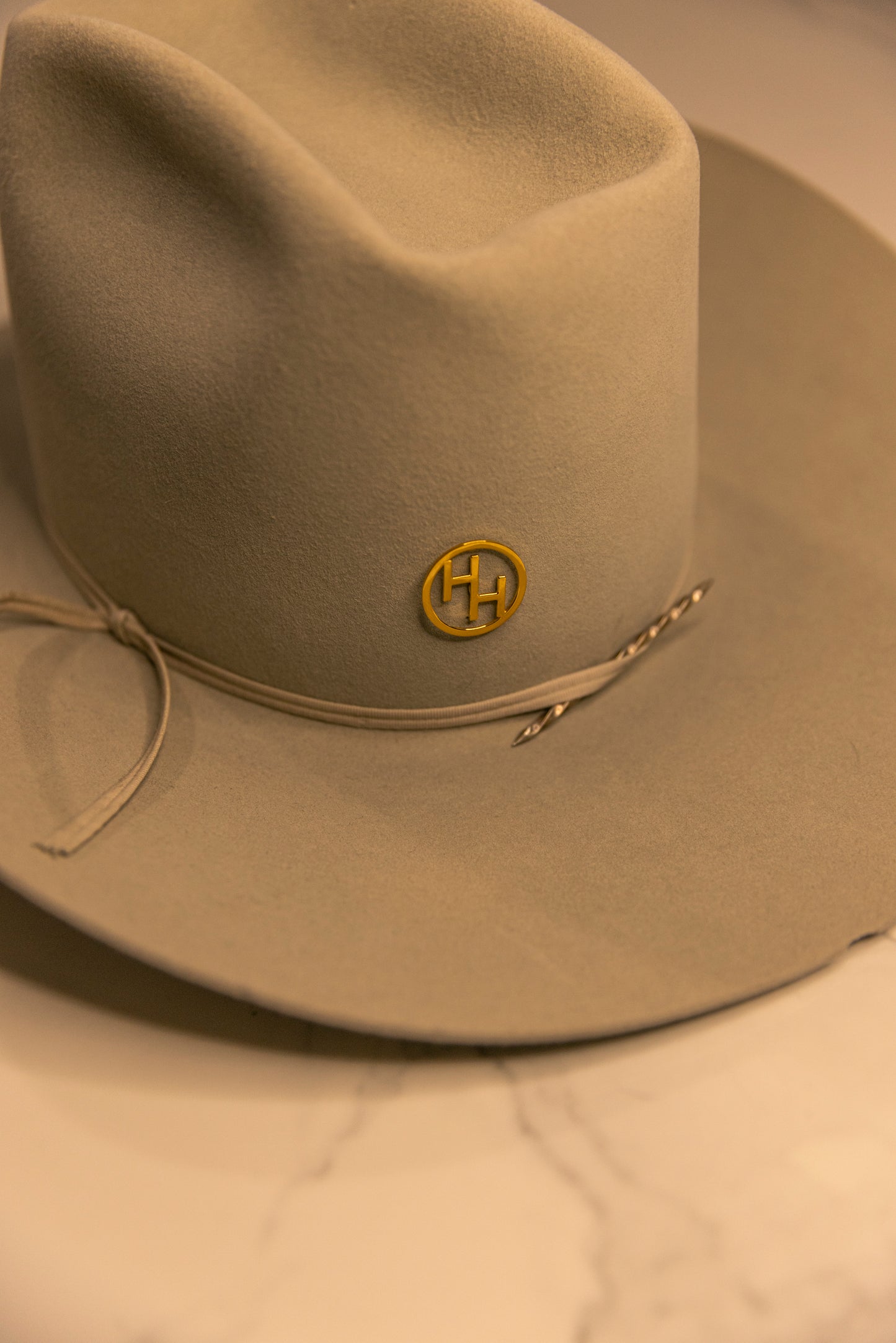 Main Image - Cattle Brand Livestock Branch Gold Silver Hat Pin