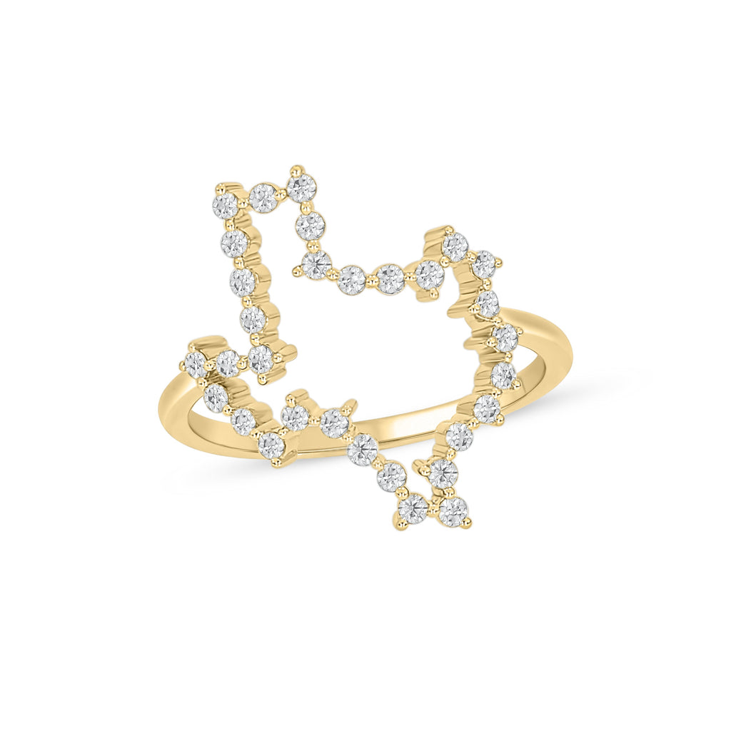 Diamond State of Texas Ring